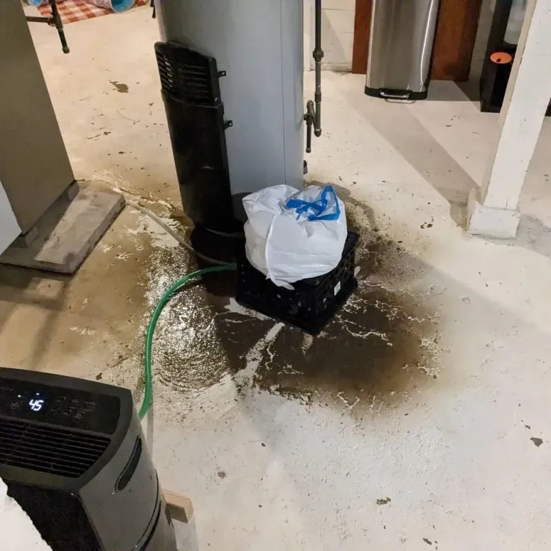 Sewage Backup Cleanup Service in Earle, AR